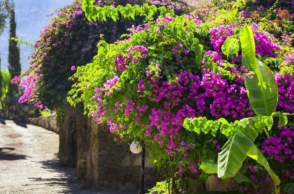Paradise Garden Hotel Oludeniz Ngoại thất bức ảnh